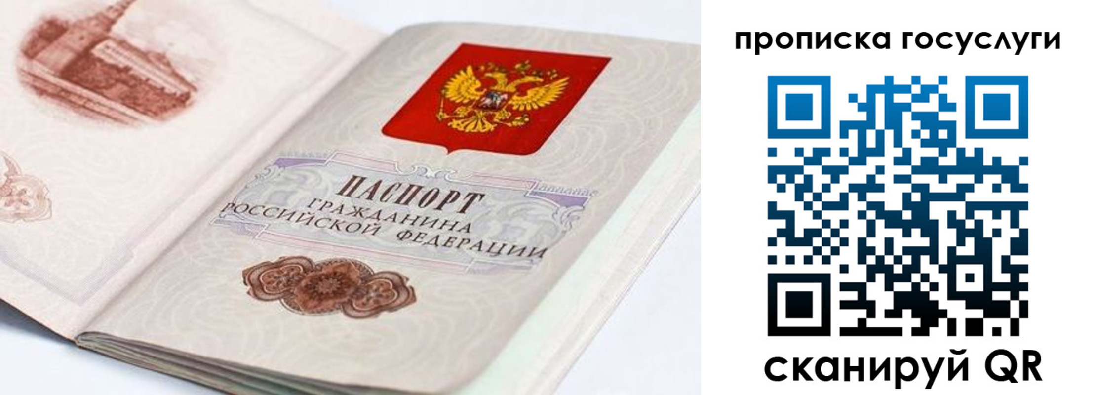прописка гарантия в Меленках